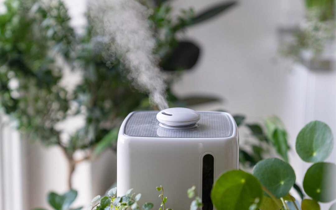 Luftreiniger im Sommer: Sinnvoll bei Pollen, Staub und schlechter Raumluft?